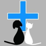 Dierenarts Gent –  Sofie Breugelmans