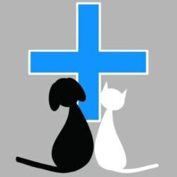 Dierenarts Gent –  Sofie Breugelmans